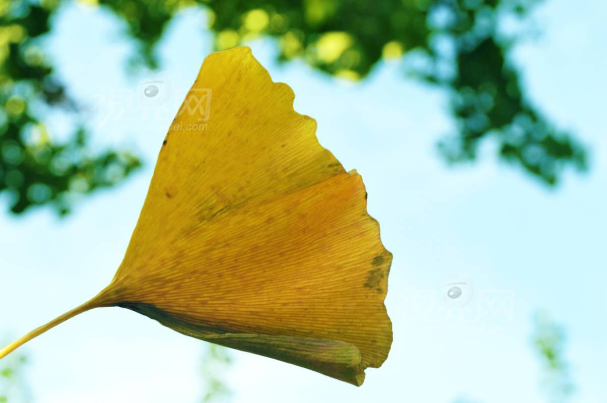 595830