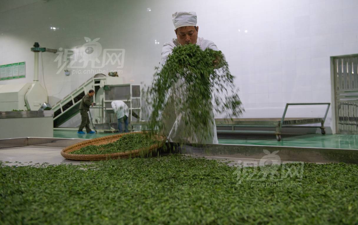 595987