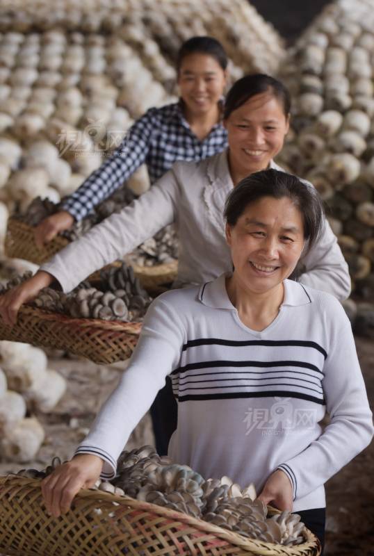 597322