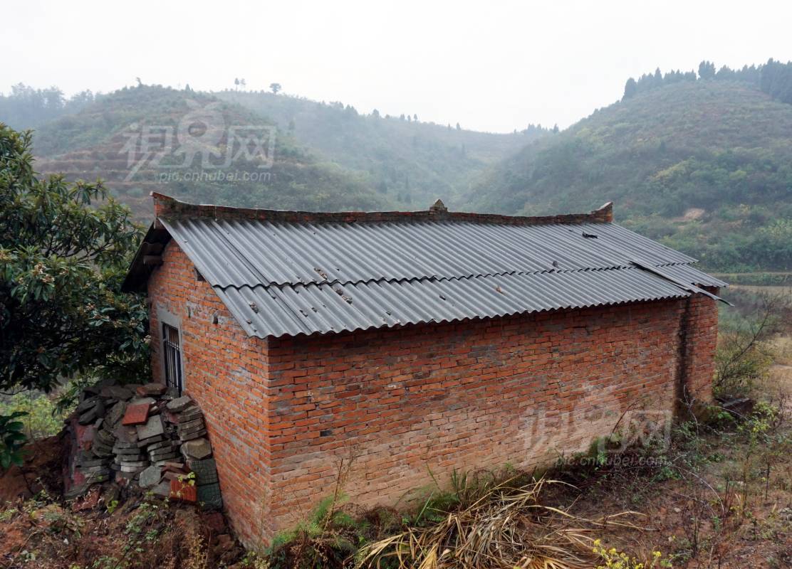 600095