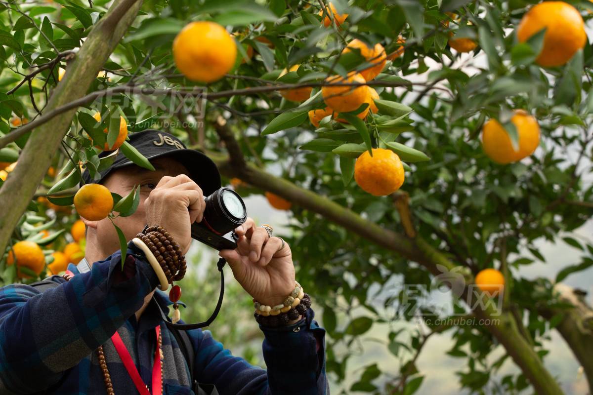 601868