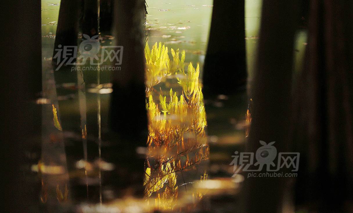 601950