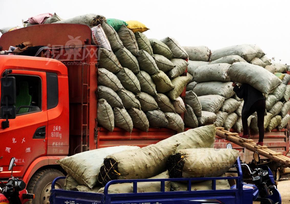 602556