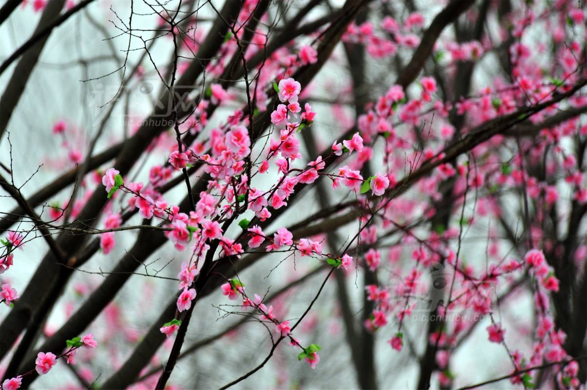 610399