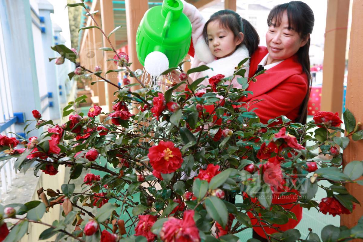 615942