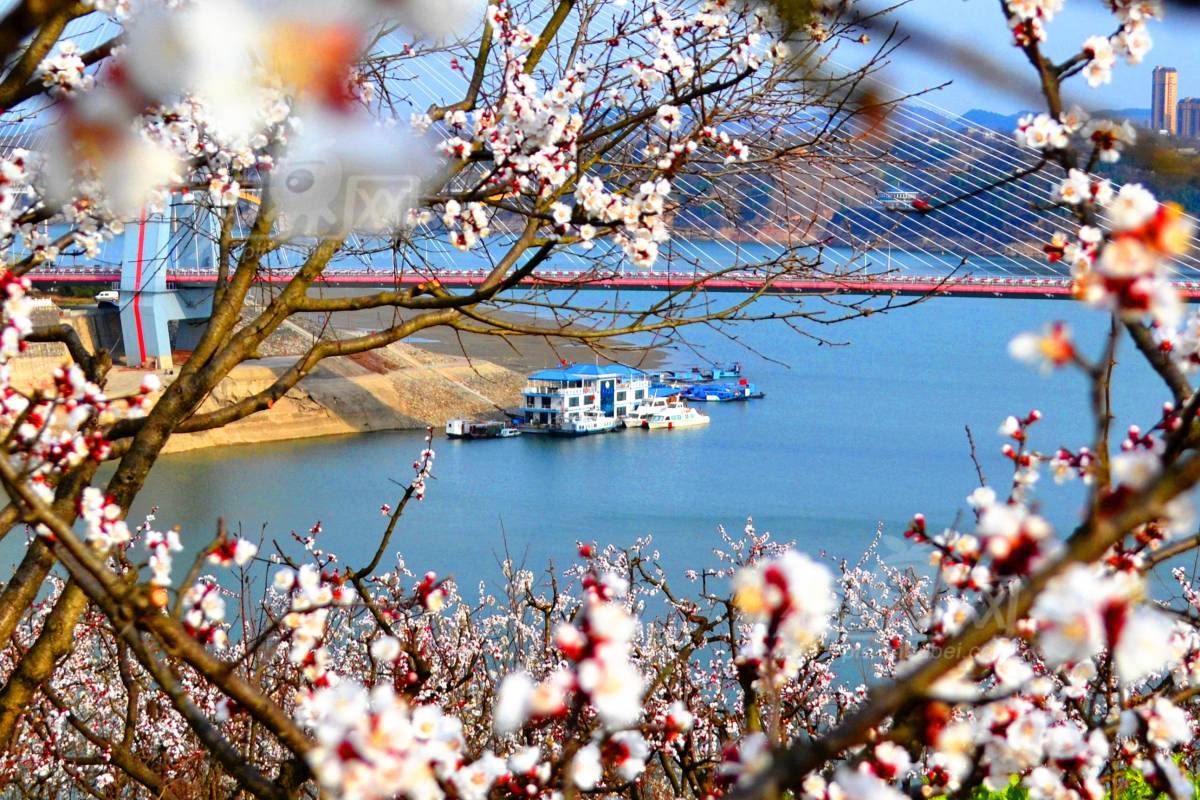 616625