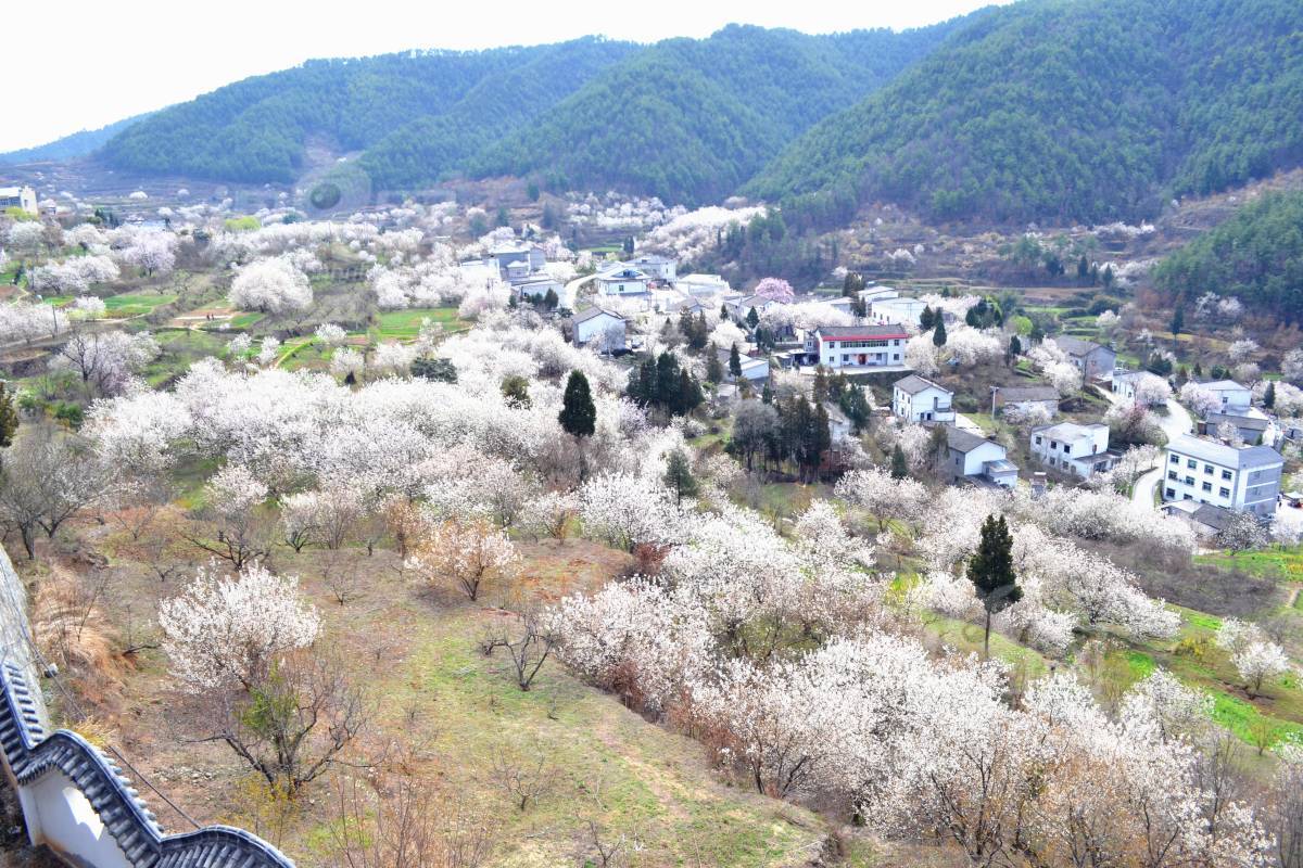 617056