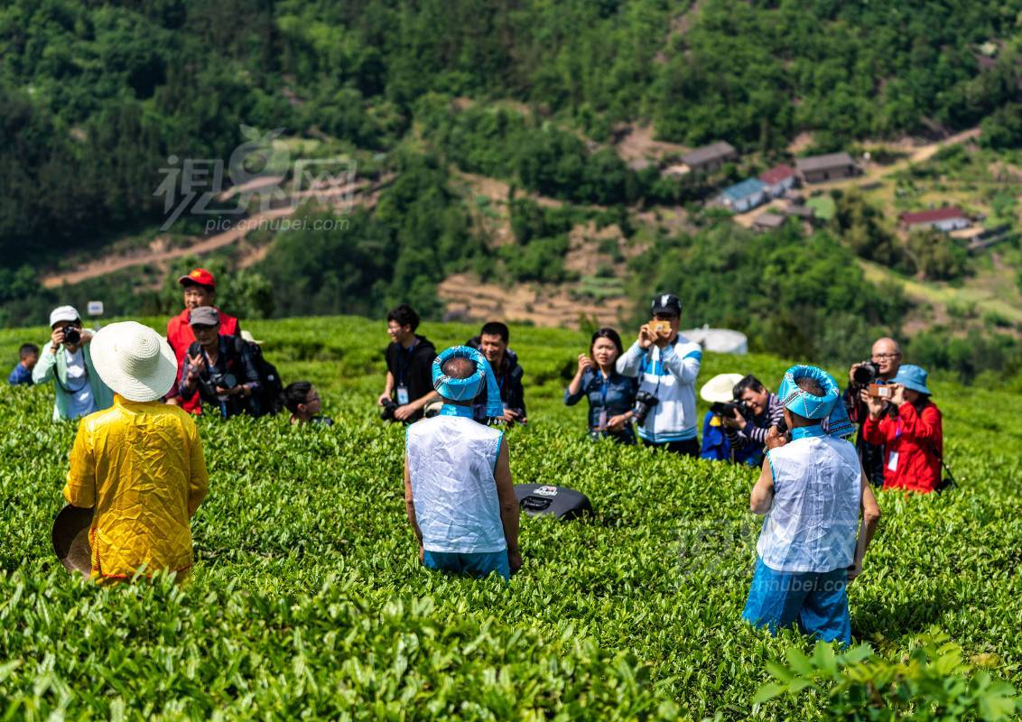 625146