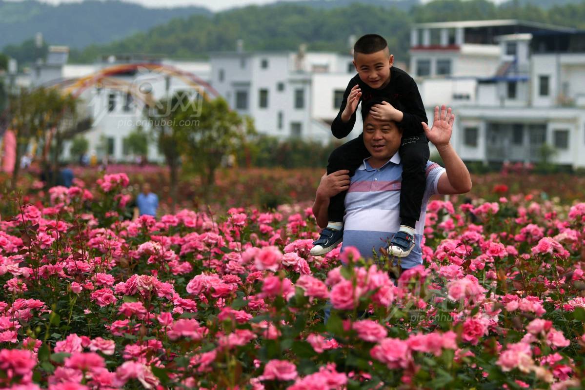 625870