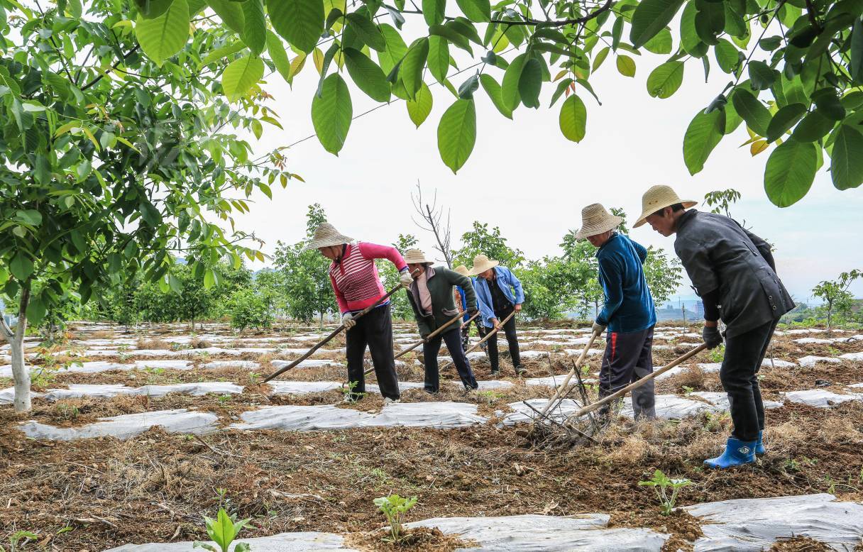 626749