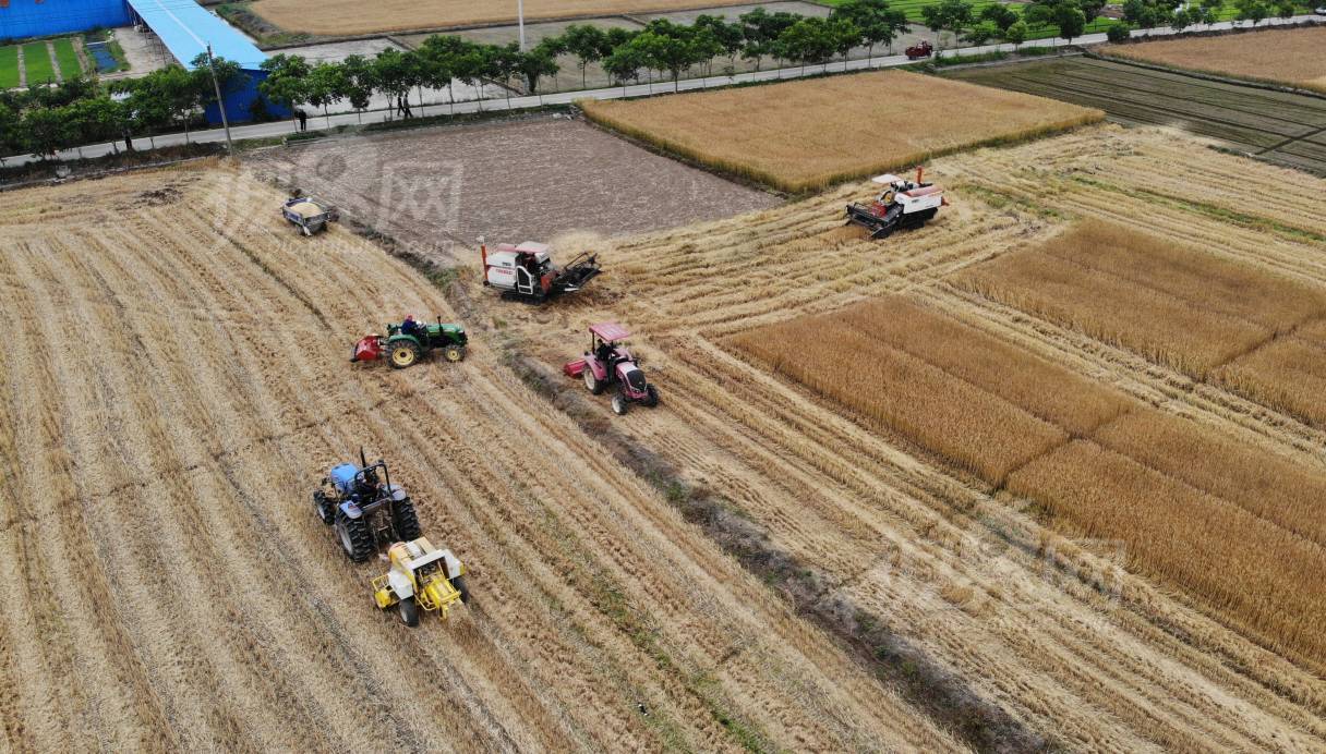 628512