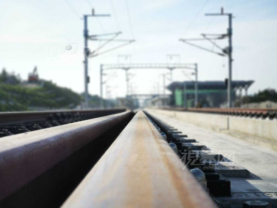 629463