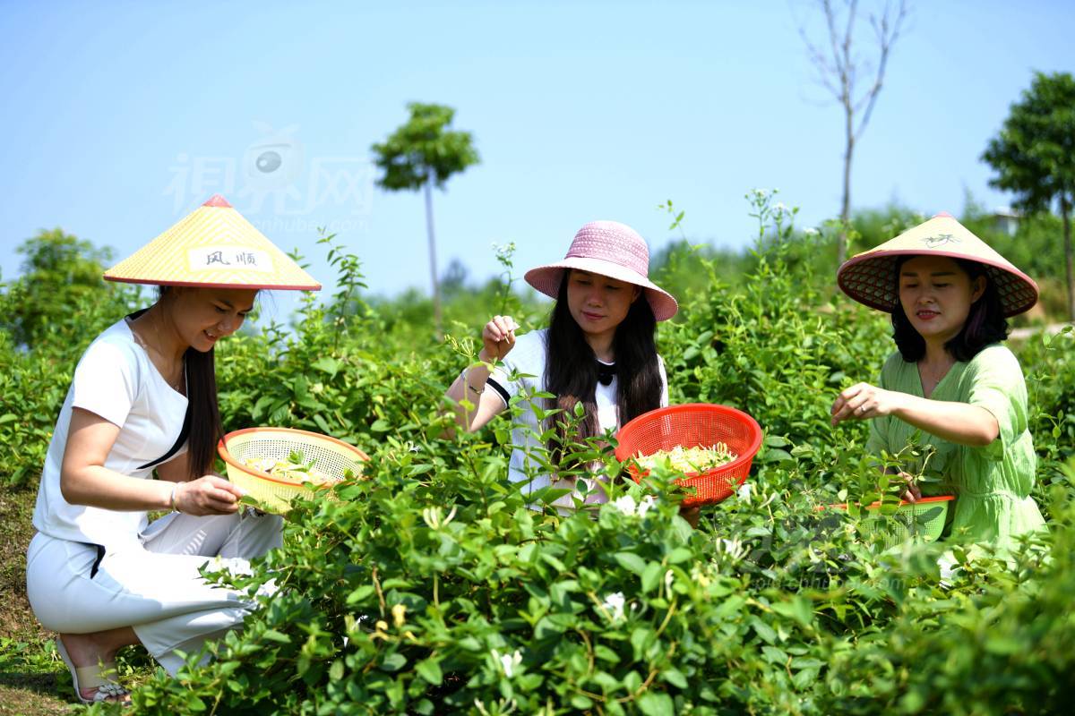 629619