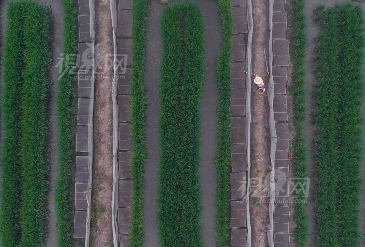 636755