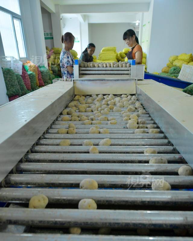 637616