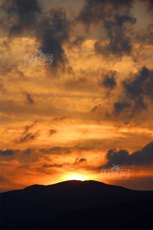 638591