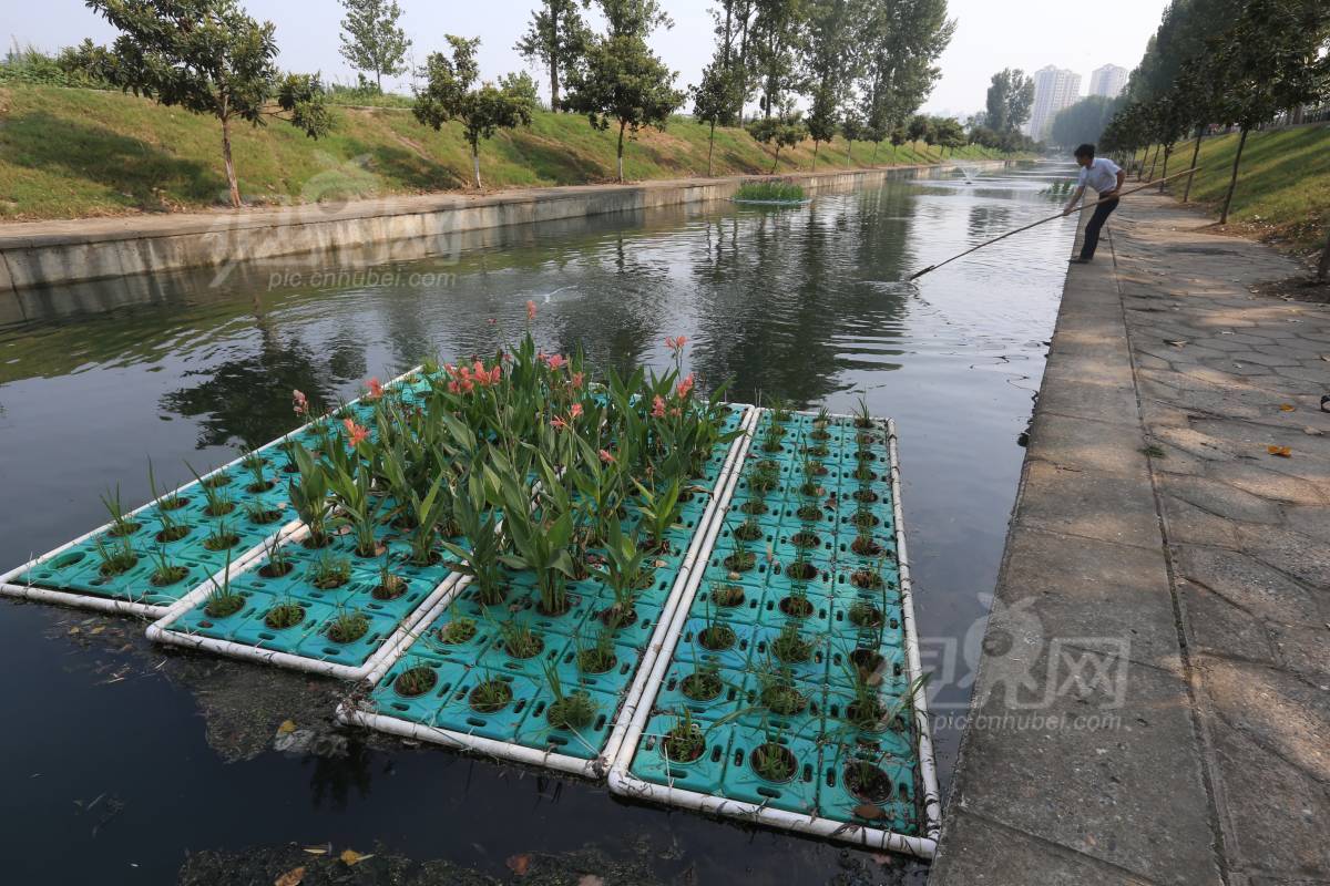 641895