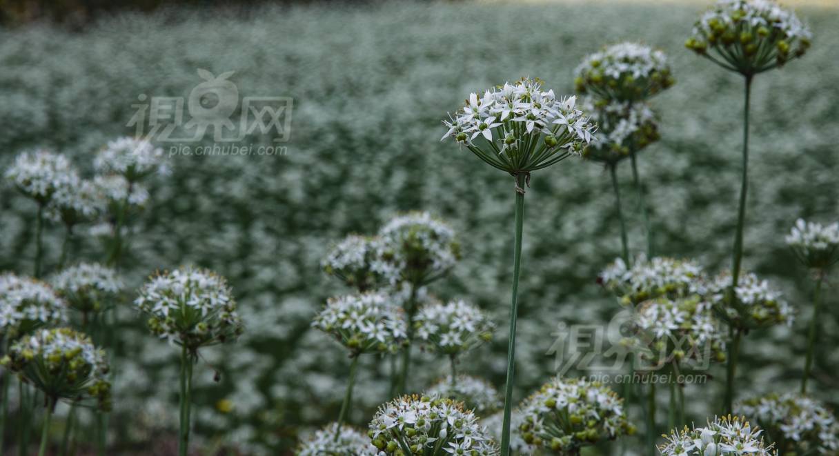 642221