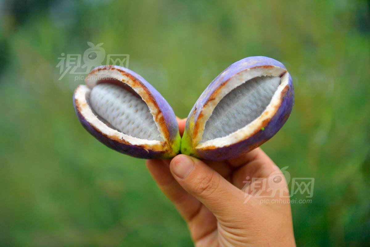 642573
