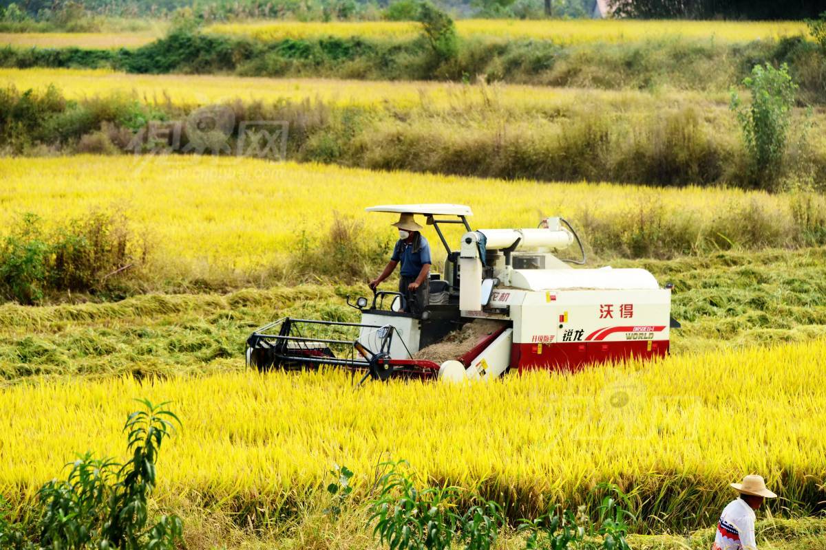 645532