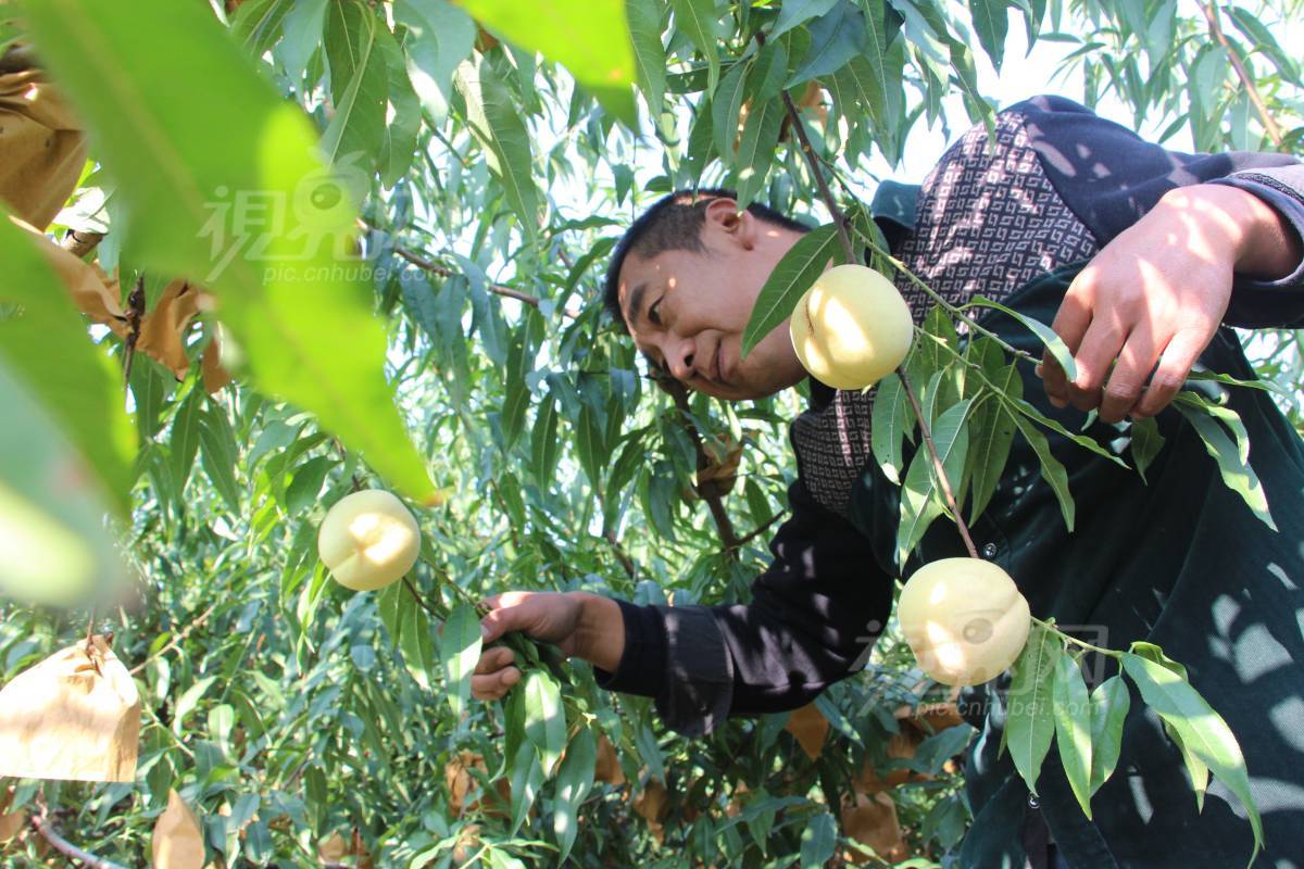 646416