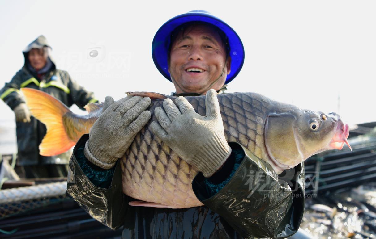 653376