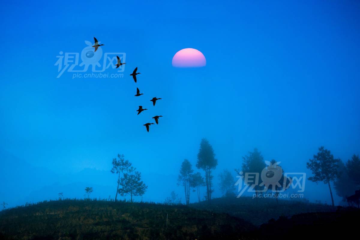 661351
