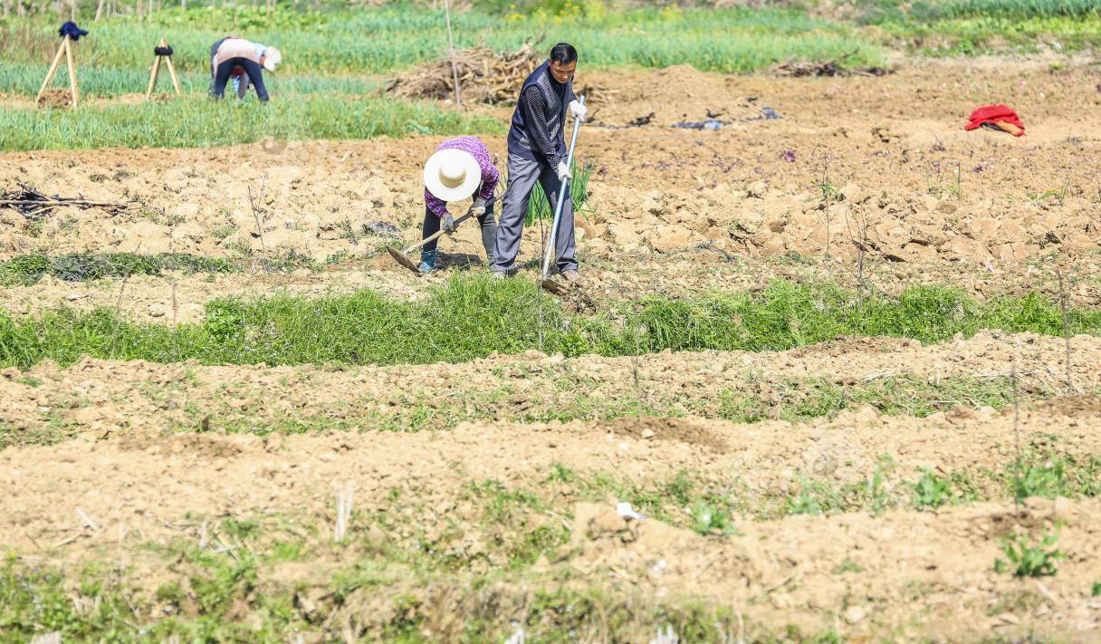 663273