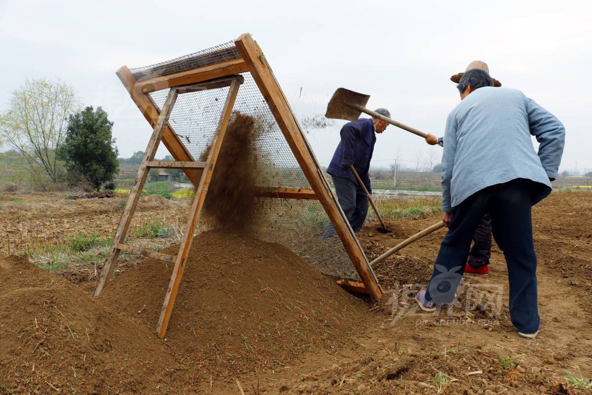 664746