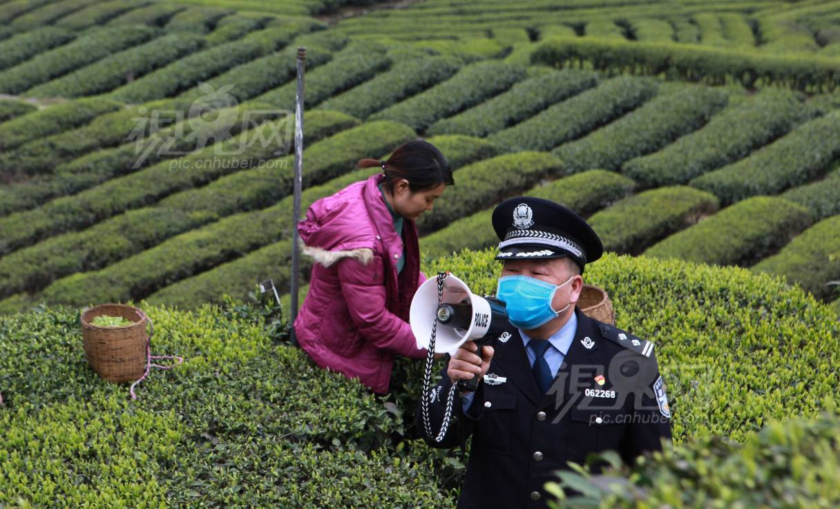 664776