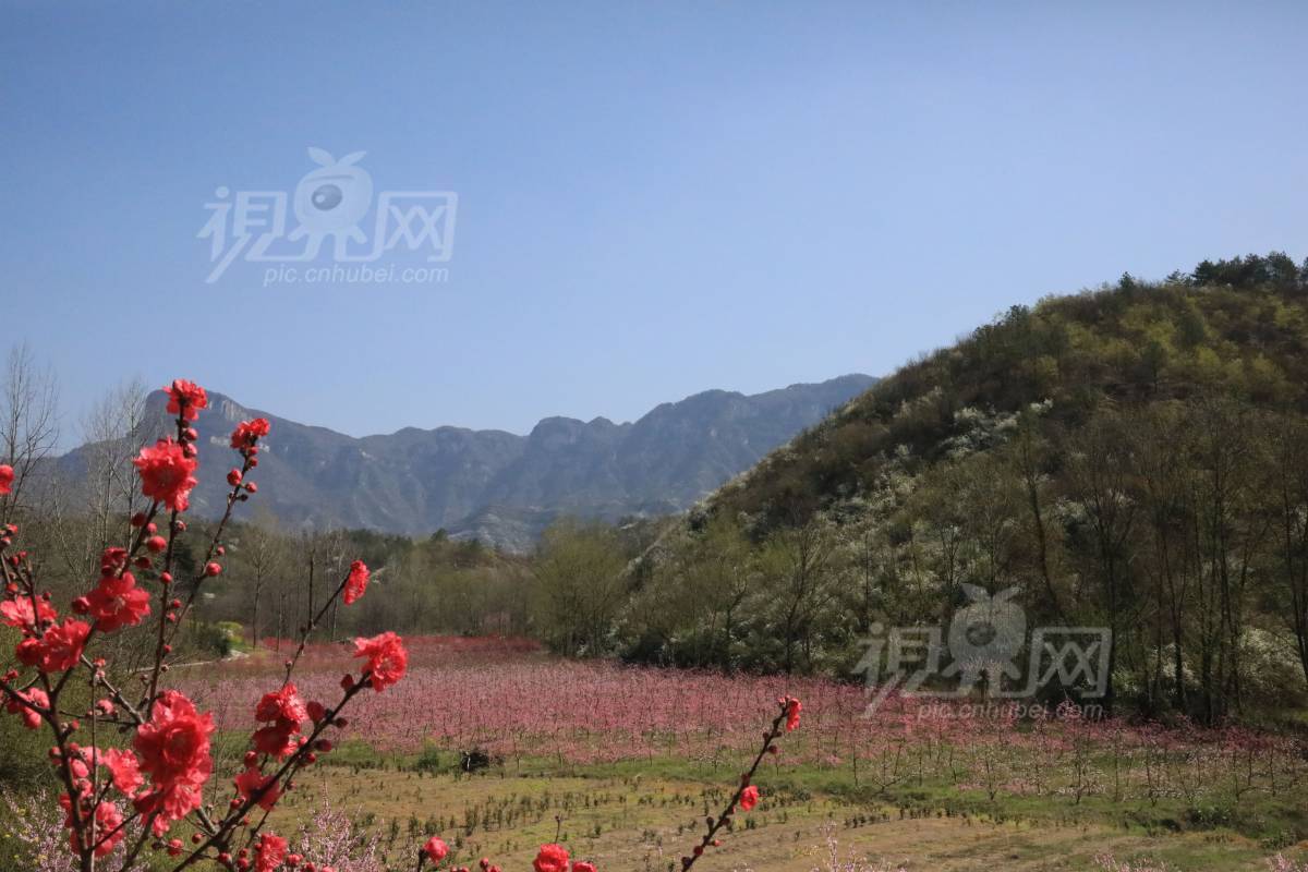 665540