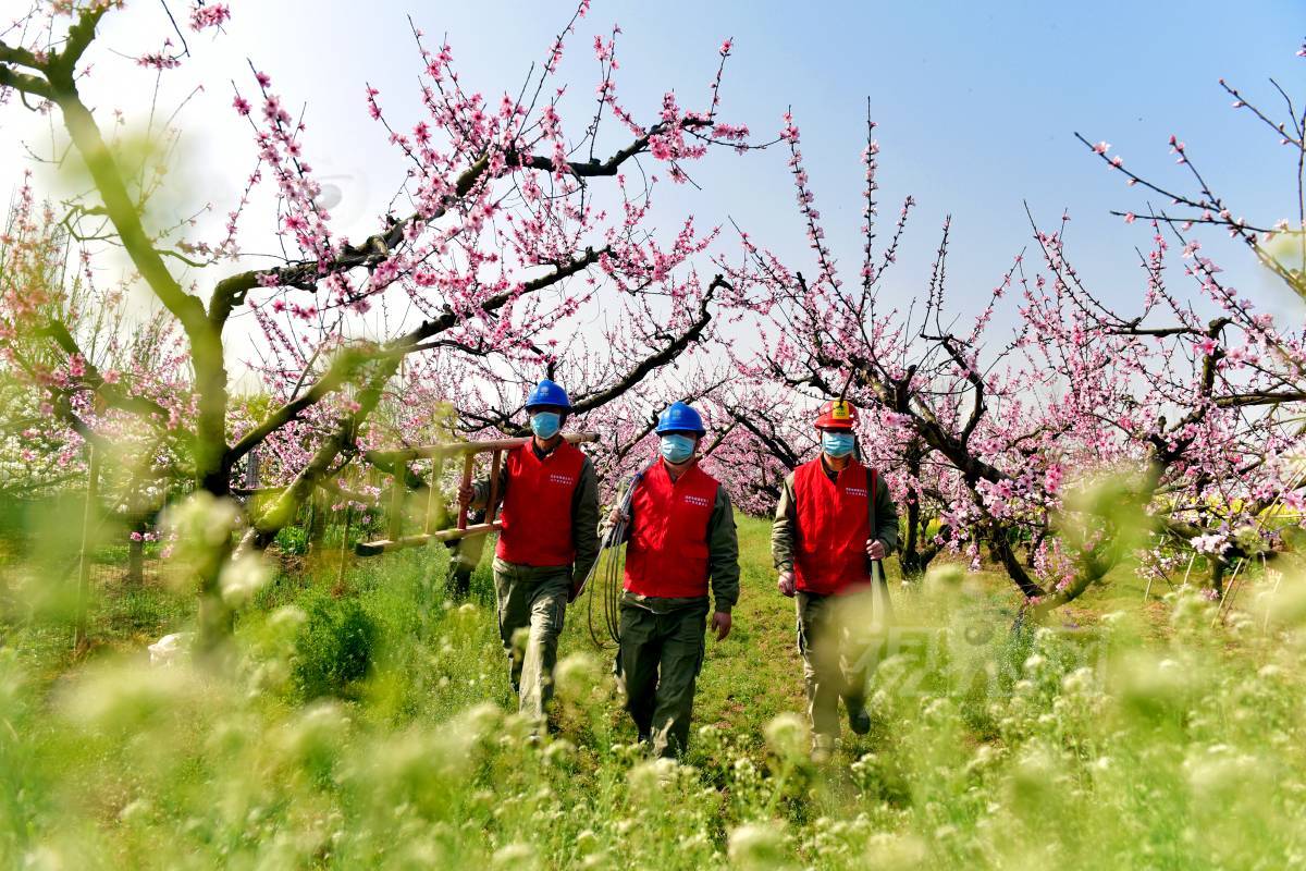 665796