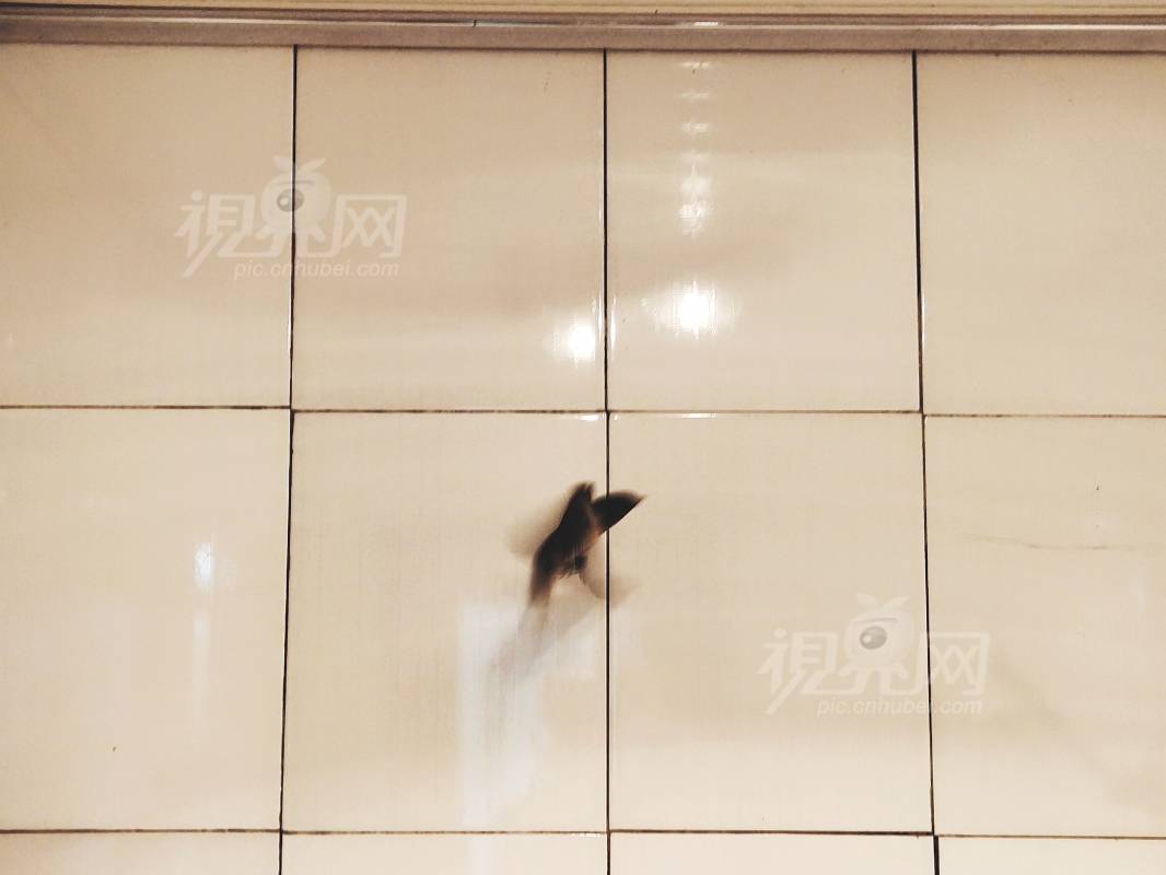 670533