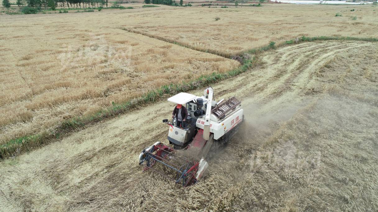 675406