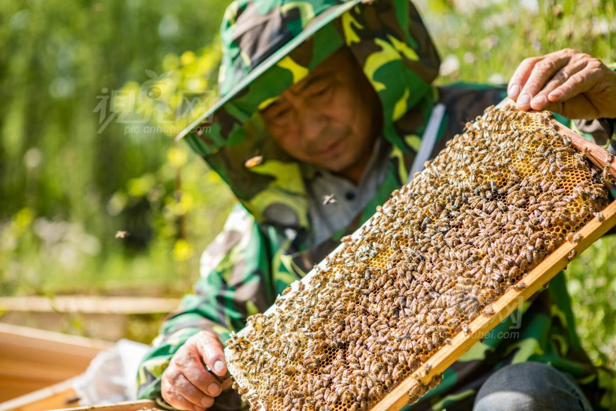 676560