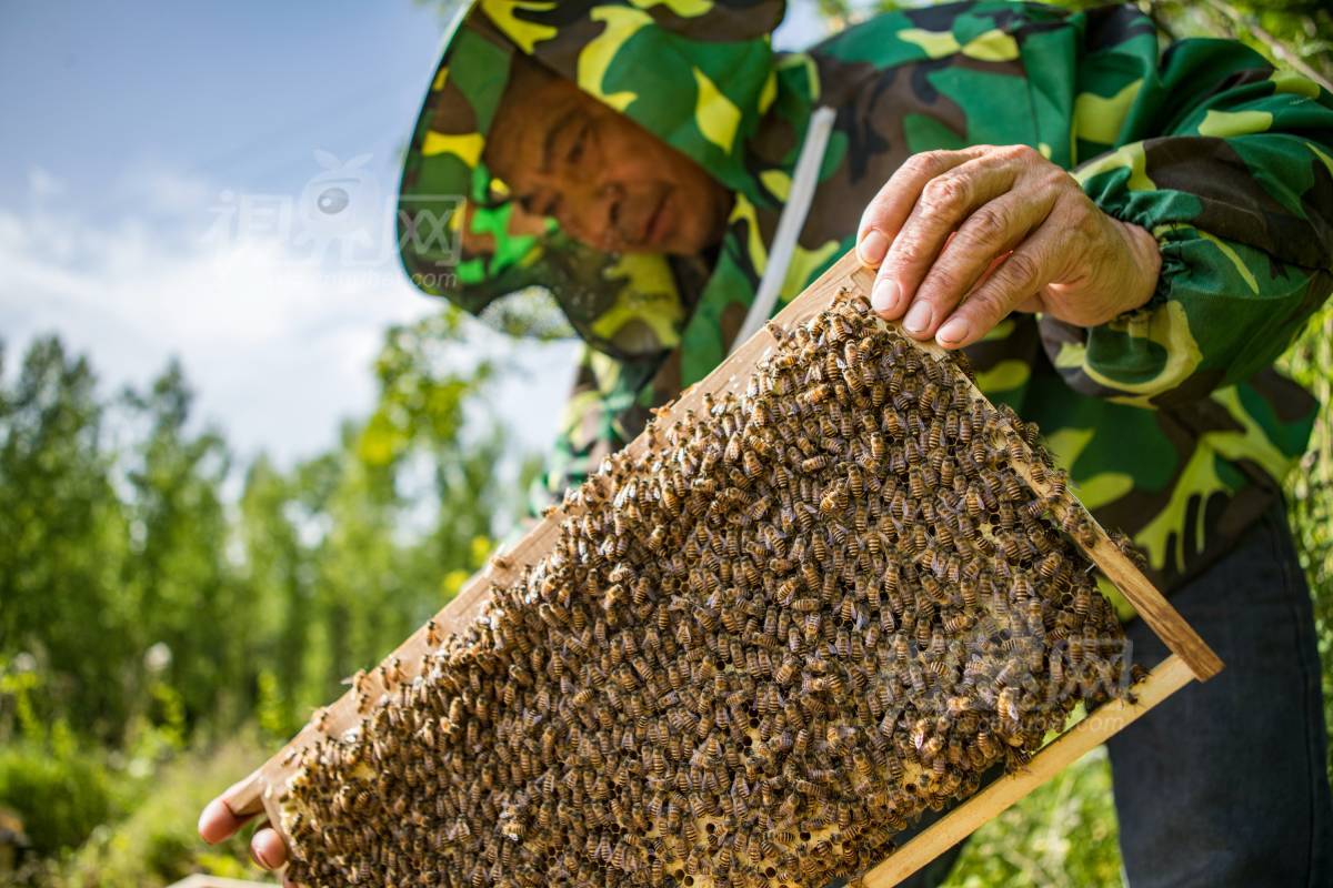 676561