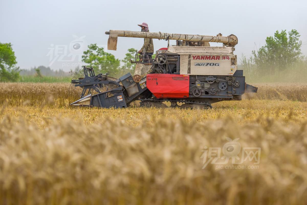 677130