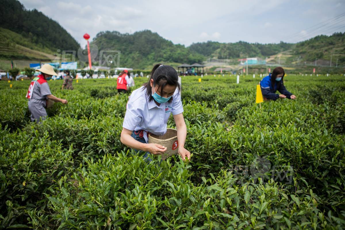 677506