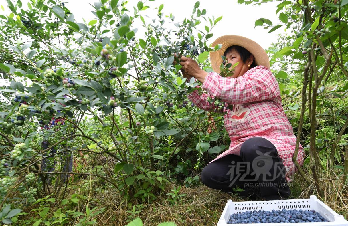 678021