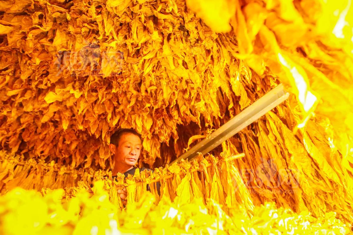 690083