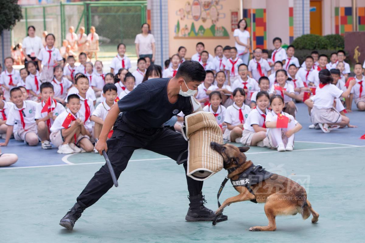 690411