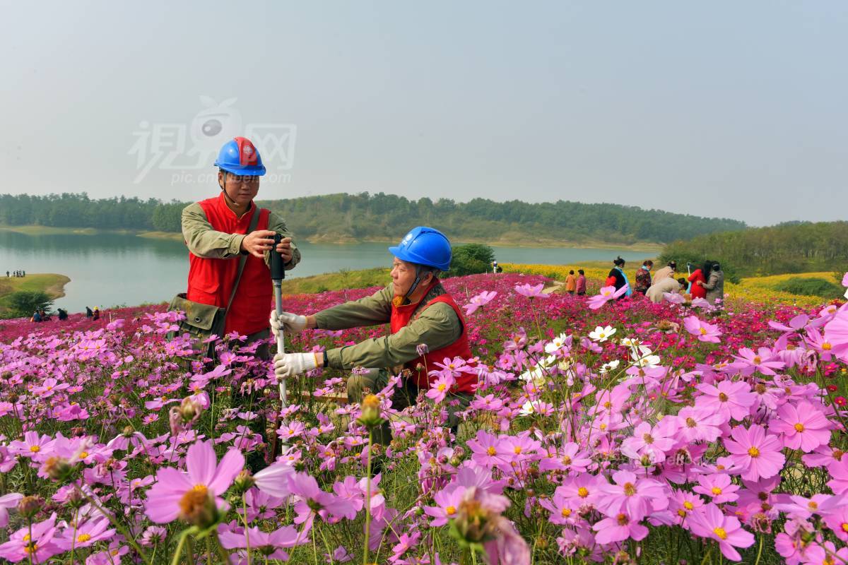 694766
