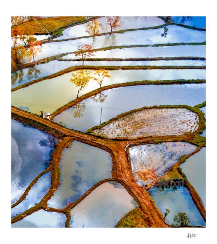 695568