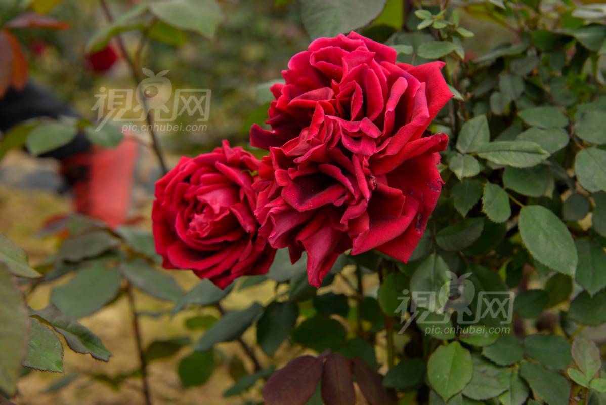 719768