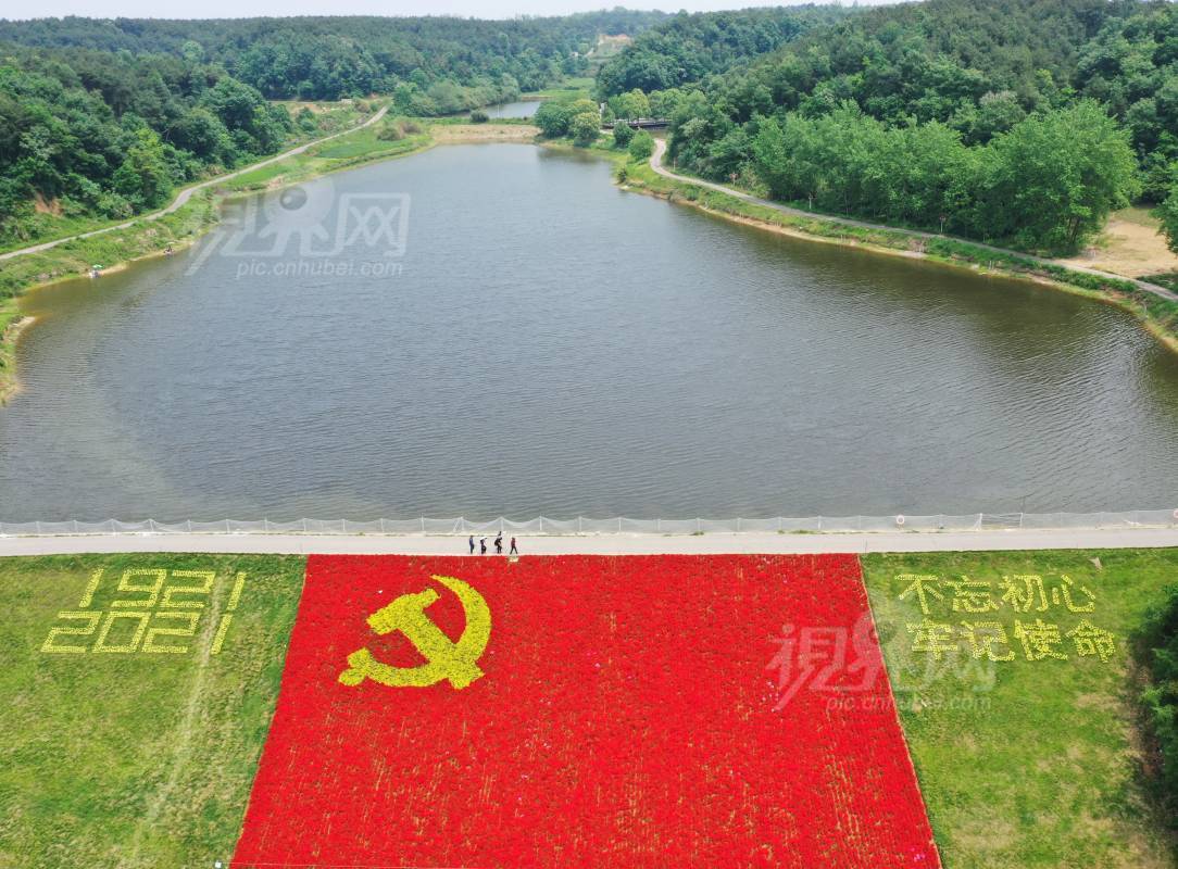 723524