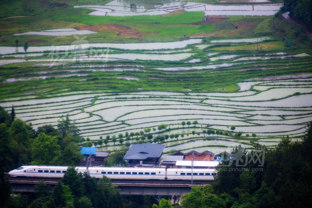 727932
