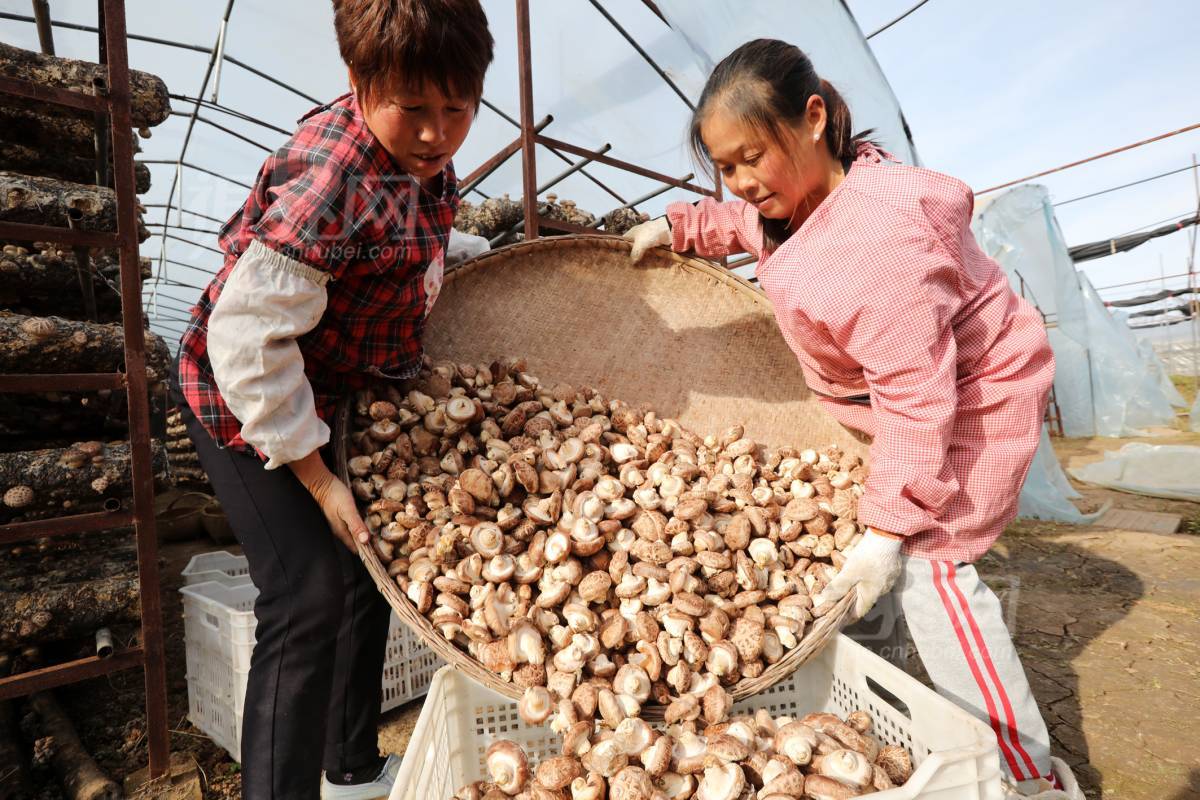 751871