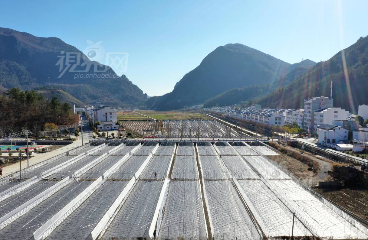756403