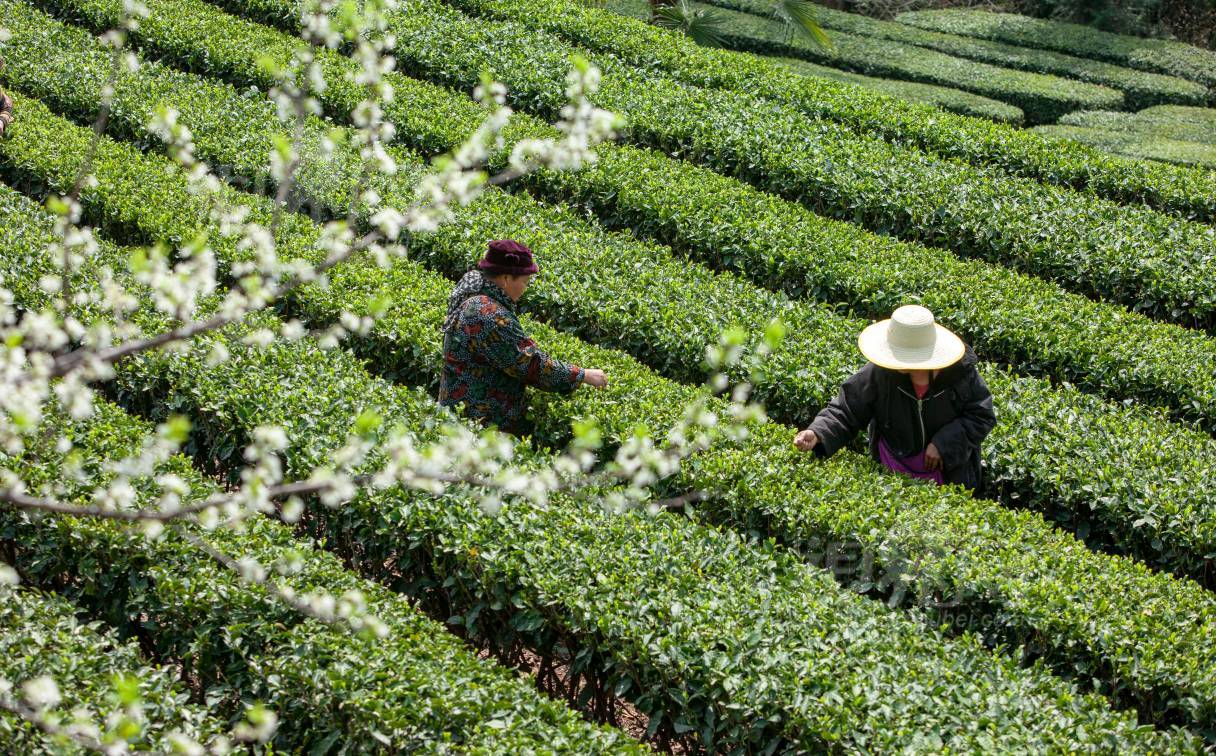771023
