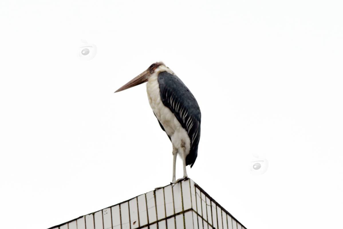 779721